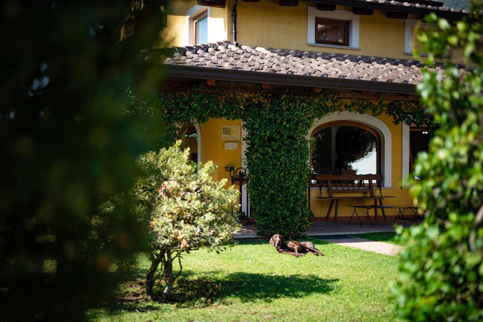 Hotel Villa Rizzo Resort And Spa San Cipriano Picentino Kültér fotó